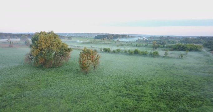 Aerial: Flying above beautiful lush green trees. Foggy meadow in the morning