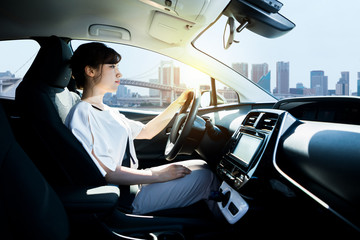 driver's seat side view.