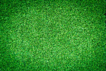 Artificial green grass texture for golf course, soccer field or sports background concept design.