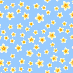 Seamless pattern with plumeria flowers