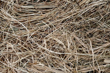 Straw. Dry grass background