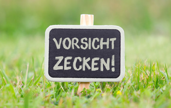 Vorsicht Zecken!