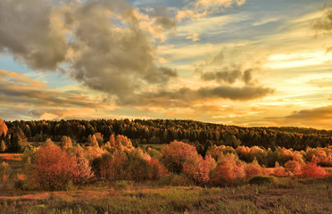 Bright rural autumn landscape at sunset