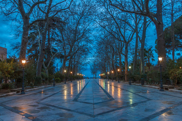 Amanece en el parque, en Ronda