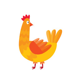 Cartoon chicken isolated on white. Cartoon character design of c