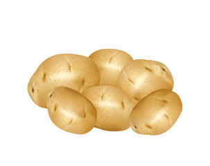 White potatoes on white background