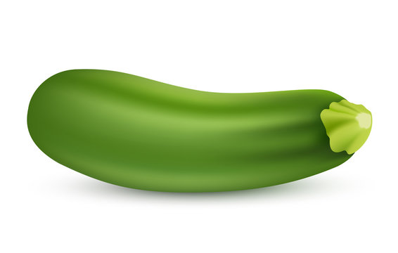 Fresh zucchini isolated on background. Vegetable marrow courgette or zucchini. Vector image