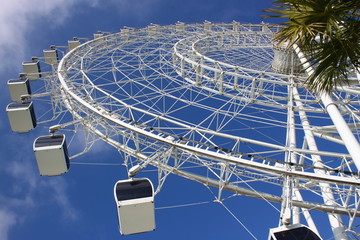 Orlando Eye