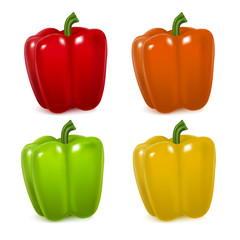 Realistic Detailed Color Pepper Set. Vector