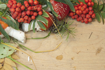 грибы с рябиной