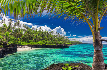 Panele Szklane Podświetlane  Plaża z rafą koralową na południowej stronie Upolu otoczona liśćmi palmowymi, Samoa
