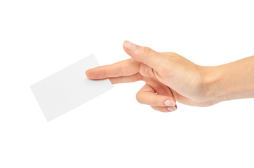 Female hands hold a business card. Isolated on white background