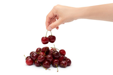 Female hands hold a red cherries. Isolated on white background