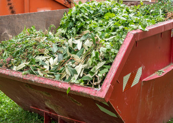 Container mit Grünabfälle Gartenbau