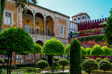 Fototapeta premium Jardin de la casa de pilatos