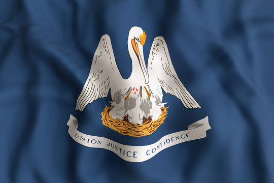 Louisiana State flag
