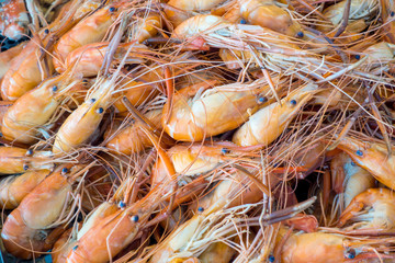 Grilled shrimp of street food at local market and tourist area of Thailand.