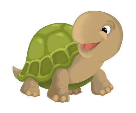 cartoon happy smiling turtle standing and looking - illustration for children