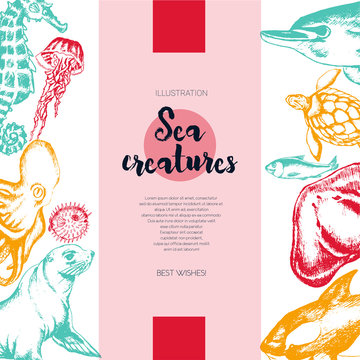 Sea Creatures - color drawn vintage banner template.