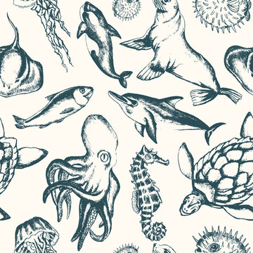 Sea Creatures - hand drawn seamless pattern
