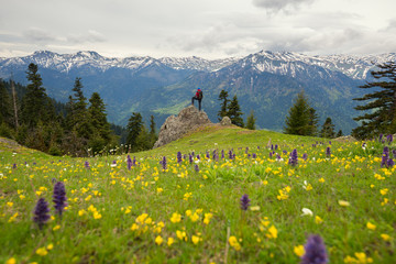 Fototapeta premium Man traveler stands on the alpine meadow among the wildflowers