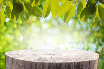 Wood table with Green leaves and Forest on the blurred background.