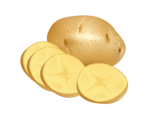 Potato and slices on white background
