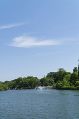 井の頭公園　新緑と青空　噴水