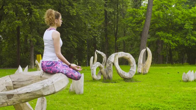 Young woman doing yoga exercises in the park