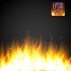 Realistic fire flame vector special effect isolated on transparent background.