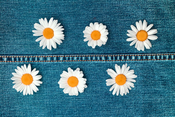 Six daisies on a jeans background of light blue denim