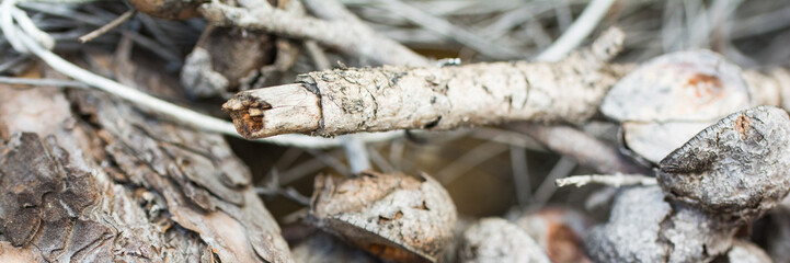 Herbstlicher Holzbanner 