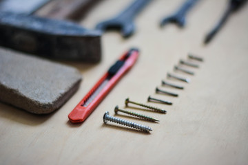 Set of instruments for repairing on wood