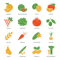 Digital vector green vegetable icons set infographics drawn simple line art, onion squash pear orange apple grape carrot wallnut peas watermelon cabage, flat, organic vegetarian food