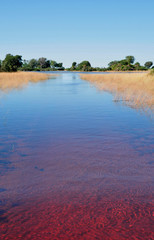 Prächtiges Farbenspiel im überfluteten Okavango-Delta in der Kalahri-Wüste. Colourfull spectacle: The flooded Okavango-Delta in the Kalahari-Desert