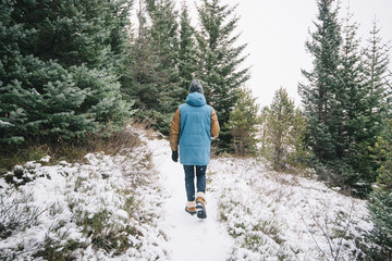 Naklejka premium Man walking in the Spruce forest in winter Iceland