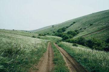 Nature, fields, hills, beauty, hand, summer, mountains