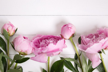 Pink peonies flower on white rustic wooden background with blank space for text. Mockup, top view