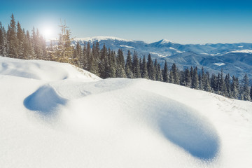 Fototapeta na wymiar Majestic winter landscape