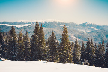 Majestic winter landscape