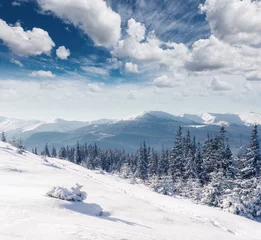Poster Majestic winter landscape © Leonid Tit