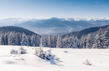 Fototapeta na wymiar Majestic winter landscape