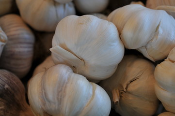 Knoblauch