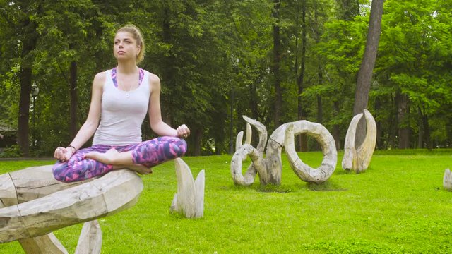 Young woman doing yoga exercises in the park
