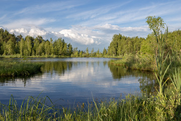 Summer landscape on the lake