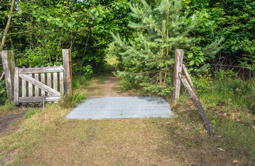 Forest entrance with wildlife grate