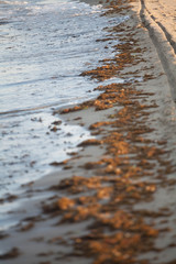 Sea and beach pollution