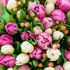 Fototapeta premium flowers background