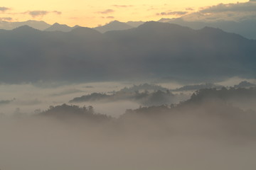 Beautiful forest landscape of foggy sunrise in Sabah, Borneo, Asia