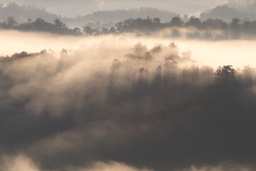 Beautiful landscape of foggy sunrise in Sabah, North Borneo, Asia